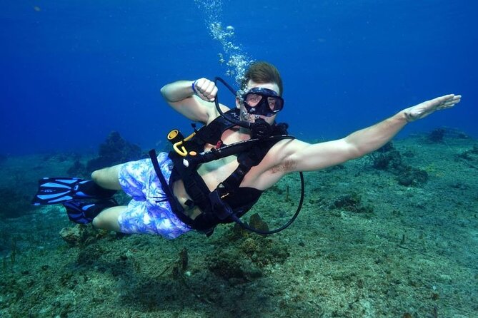1 Tank Guided Shore Dive Including Equipment - Key Highlights (What Makes This Shore Session Worth Your Time)