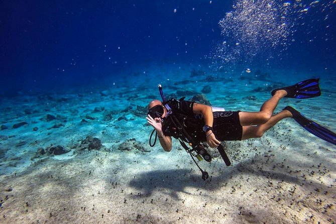 1 Tank Guided Shore Dive Including Equipment - One-Tank Shore Session in Cozumel: The Big Idea