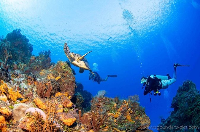 2 Tank Cozumel Reef Boat Dives - Snacks and Sea Views During the Surface Interval