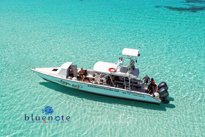 2 Tank Morning Dive: Scuba Diving in Cozumel - Key things that make this trip worth your morning