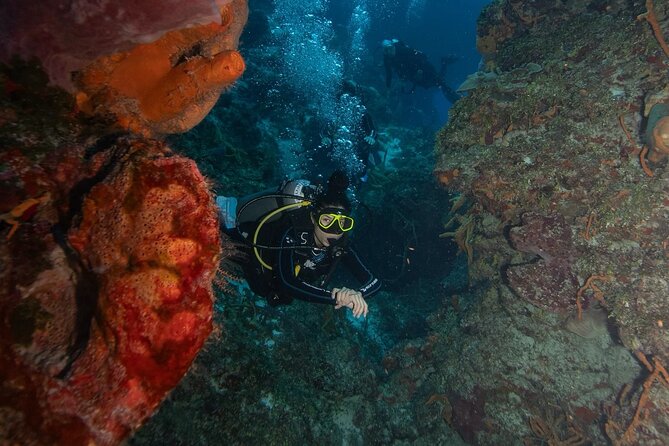 2 Tank Morning Dive: Scuba Diving in Cozumel - Equipment and getting comfortable fast