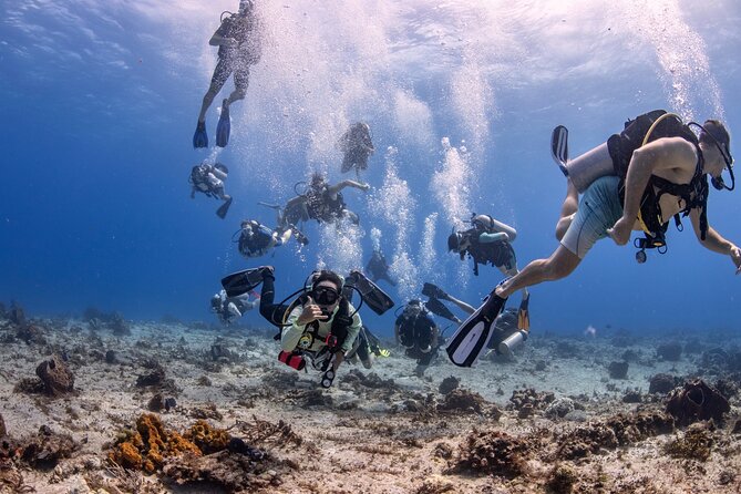2 Tanks dives for Certified Divers in Cozumel - Quick takeaways before you book