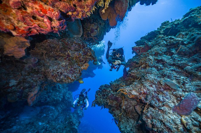 2 Tanks dives for Certified Divers in Cozumel - The break on top: light lunch and a breather between reefs