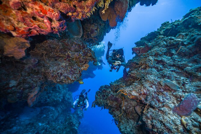 2 Tanks dives for Certified Divers in Cozumel - Stop 2: a second reef site with different underwater scenery