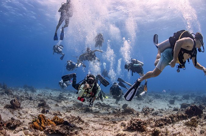 2 Tanks dives for Certified Divers in Cozumel - Who this fits best (and who might want a different style of trip)
