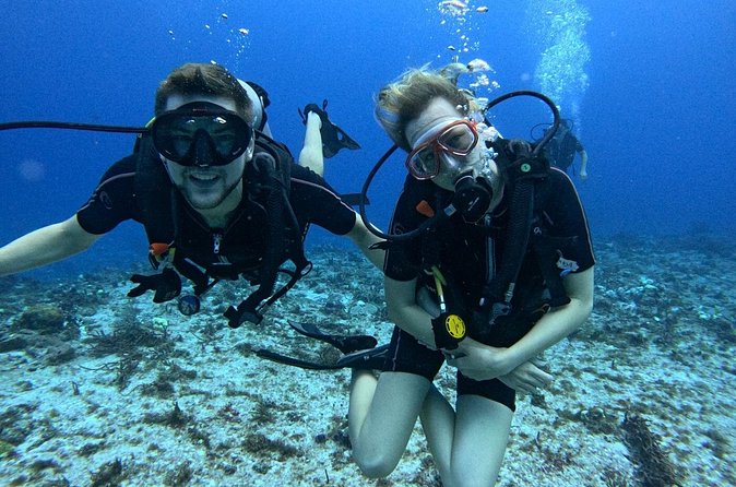 2 tanks for certified divers - The between-sites break: lunch that actually helps