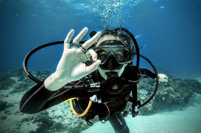 2 tanks for certified divers - Meeting at Marina Cozumel (ASIPONA) and why timing matters