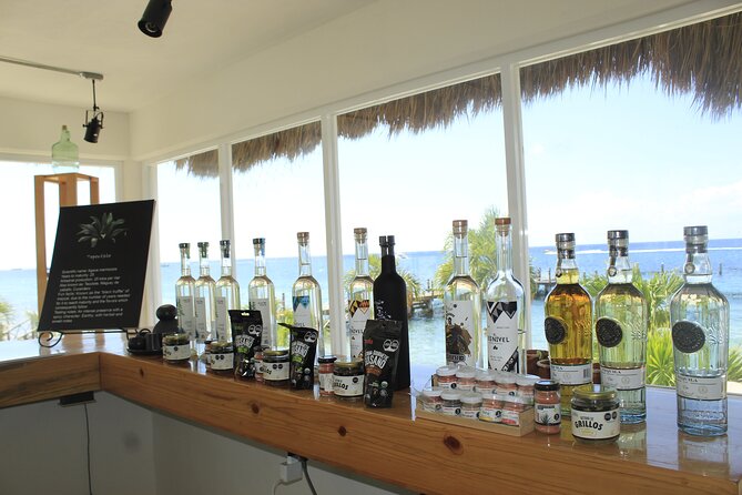 3-Hour Small-Group Mezcal and Tequila Tasting activity from Cozumel - Small Group Energy: Why Max 12 Changes Everything