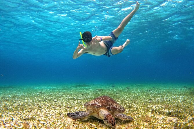 4 Hour Cozumel Turtle Sanctuary Experience on a Luxury Catamarán - Turtle sanctuary snorkeling: the highlight you can’t force, but can maximize