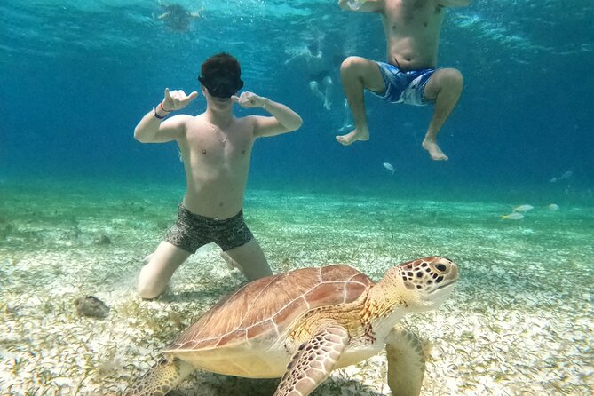 4 Hour Cozumel Turtle Sanctuary Experience on a Luxury Catamarán - Cielito sandbank: where the tour turns into a lazy hang