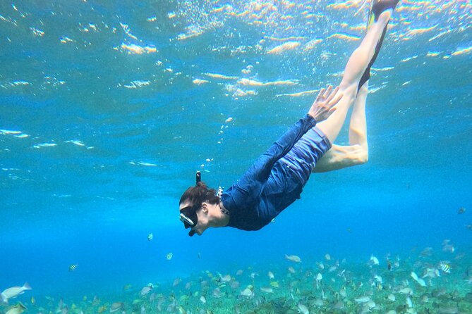 4 Hour Cozumel Turtle Sanctuary Experience on a Luxury Catamarán - Bathrooms on a catamaran: small warning, big impact on comfort
