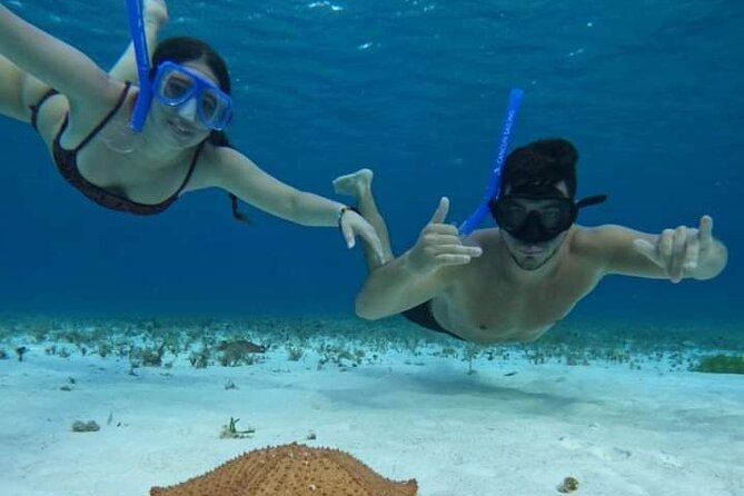 4 hours of shared snorkeling to El Cielo - Palancar Reef: Your First Reef Stop for Rays and Reef Fish