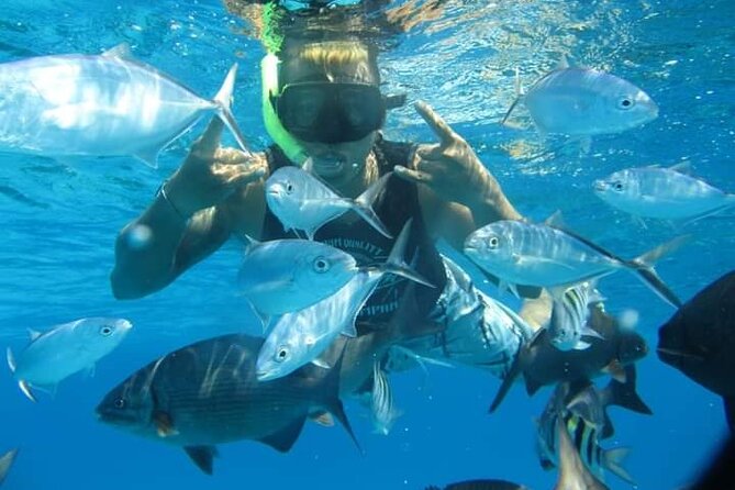 4 hours of shared snorkeling to El Cielo - Practical tips so the day feels smooth