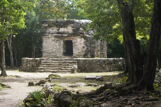 Amazing Jeep Tour Visit Punta Sur Park and San Gervasio Ruins - Hotel Hacienda Ixtlan: Tequila Tasting and Chocolate Too