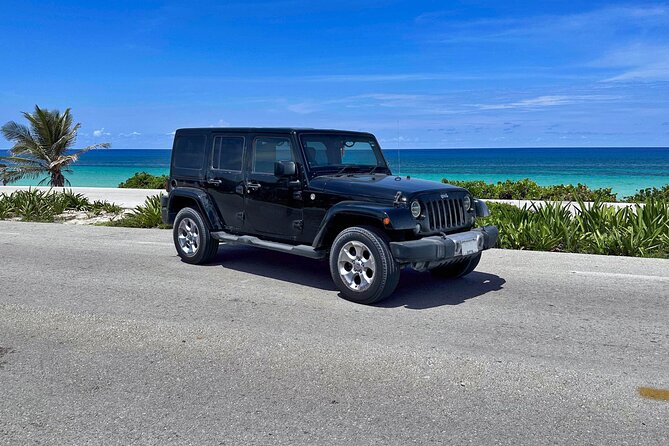 Amazing Jeep Tour Visit Punta Sur Park and San Gervasio Ruins - Who Should Book This Punta Sur and San Gervasio Tour