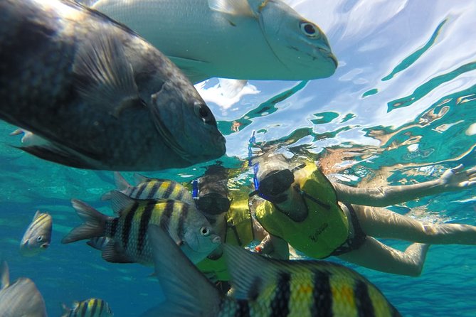 ATV Mud Kicking and Snorkeling by Boat in Cozumel - Lunch, Drinks, and the Real Value of This $99.99 Price