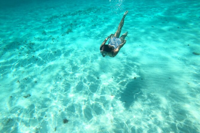 Bavarian Fiesta Snorkel Activity in Glass Bottom Boat at San Miguel de Cozumel - Price and logistics: what you’re paying for with a $117.09 ticket