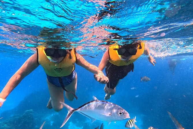 Catamaran in Cozumel with snorkeling at El Cielo and open Bar - Stop 2: El Cielo Starfish Sanctuary Swim (About 20 Minutes)