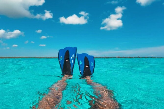 Catamaran in Cozumel with snorkeling at El Cielo and open Bar - Price and Value: $38.50 Isn’t the Whole Story