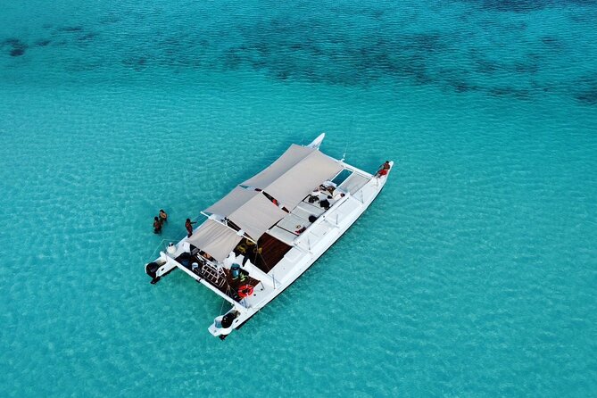 Catamaran Snorkeling to El Cielo and The Money Bar Beach Club - Key highlights you’ll feel immediately
