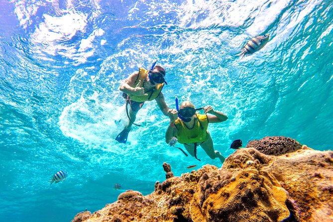Catamaran Snorkeling to El Cielo and The Money Bar Beach Club - Playa El Cielo: starfish shallows and that calm-water feeling