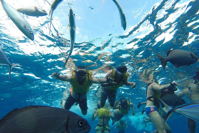 Catamaran Snorkeling to El Cielo and The Money Bar Beach Club - The ride, the comfort reality, and sea-day expectations