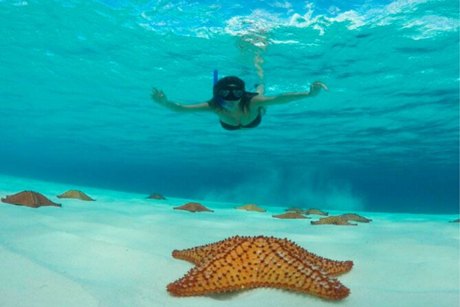 Catamaran Snorkeling to El Cielo and The Money Bar Beach Club - Who should book this Money Bar to El Cielo catamaran?