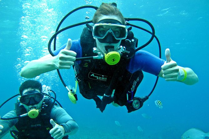 Chankanaab Cozumel Scuba Diving - Chankanaab Reef: Why This Cozumel Setup Works