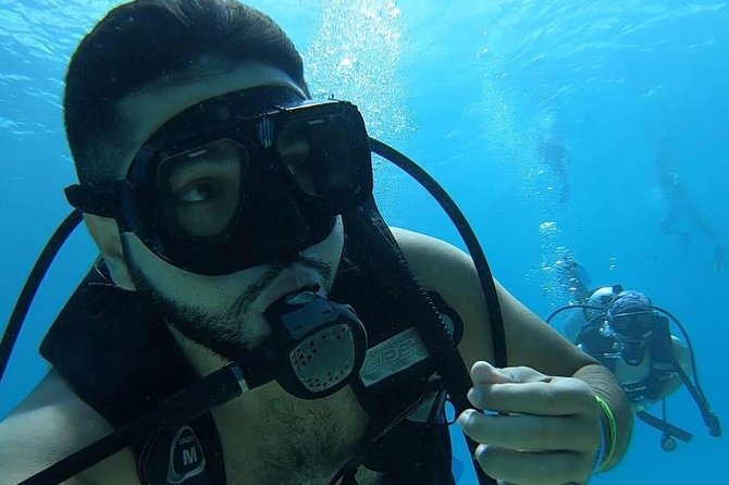 Chankanaab Cozumel Scuba Diving - Value, Group Size, and Fit for Your Trip Style