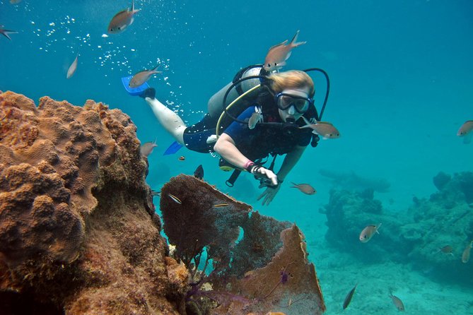 Chankanaab Cozumel Scuba Diving - Tips to Have a Smoother, Calmer Experience