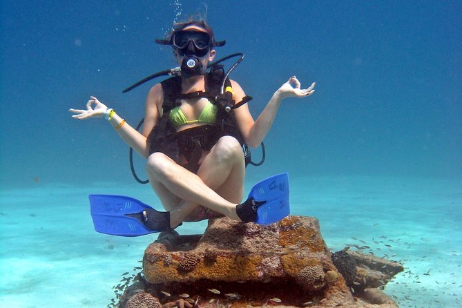 Chankanaab Cozumel Scuba Diving - Should You Book This Chankanaab Scuba Session?