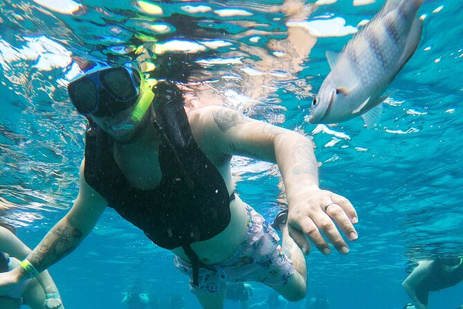 Chankanaab Park Admission + Snorkeling - Guided snorkel: reef time plus a clear plan for what you’ll see