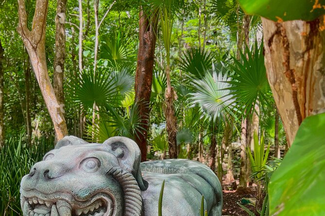 Chankanaab Park Admission + Snorkeling - Who this is best for (and what to consider if you’re picky)