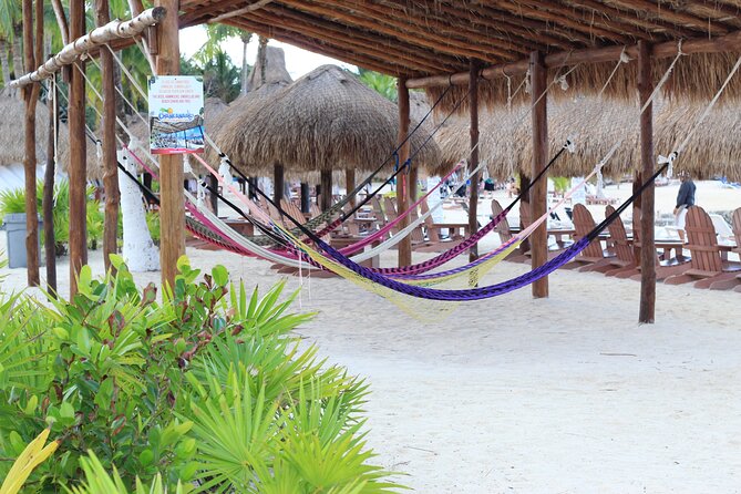 Chankanaab Park Admission +Snorkeling + Lunch included - Lunch, drinks, and the tequila tasting option