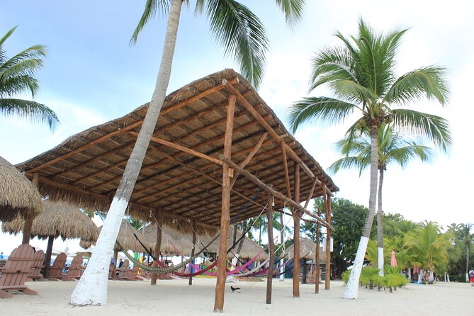Chankanaab Park Admission +Snorkeling + Lunch included - Is the schedule worth your time? A practical look at who it suits