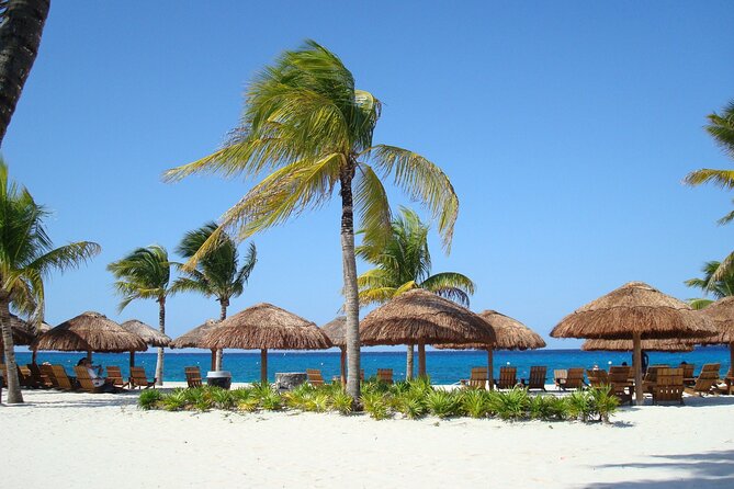 Chankanaab Park and Island Tour by Buggy with Mexican Lunch - Royal Village Check-In: how the day starts (and what to have ready)