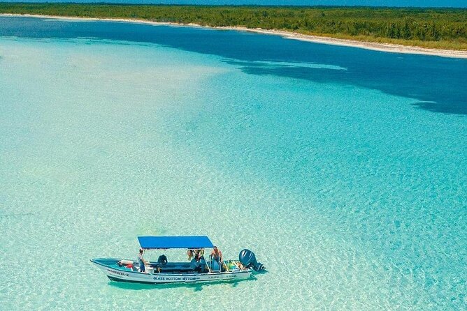 Cielito Cozumel: Mexican Caribbean Snorkeling Tour - Where This Tour Fits in Cozumel Reef Life