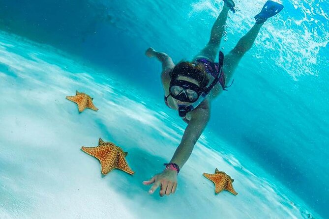 Cielito Cozumel: Mexican Caribbean Snorkeling Tour - The Day’s Flow: Timing, Group Size, and Boat Reality