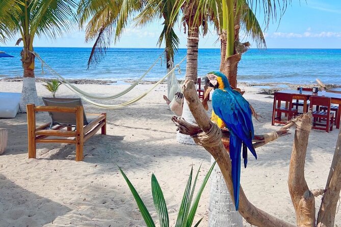 Clear Boat and Island Tour by Buggy with Mayan Experience - Stop 2: Otoch Mayan Experience with rituals, dancing, and tastings