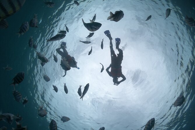 Clear Boat & Snorkel Cozumel Tour with Drinks - A Clear Boat Snorkel Trip That Makes Cozumel Feel Close