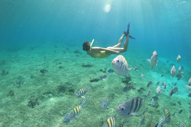 Clear Boat & Snorkel Cozumel Tour with Drinks - Group Size, Guides, and the Kind of Attention You Want