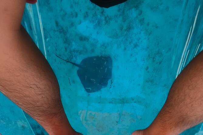 Clear Kayaking, Sea Scooters Adventure - Guides Who Keep It Smooth: Adolfo, Memo, and Underwater GoPro Footage
