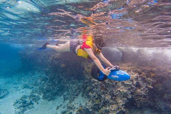 Clear Kayaking, Sea Scooters Adventure - Price and Value at $79: Why This Short Tour Can Be Worth It