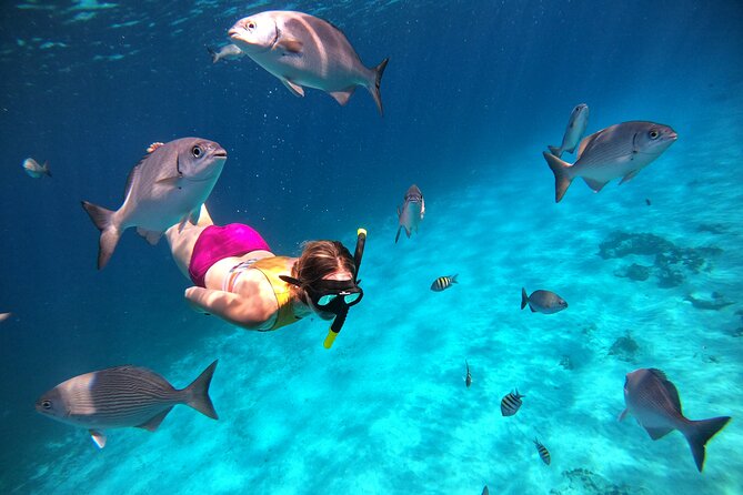 Colombia, Palancar & Cielo Cozumel Snorkel Tour - Snacks, Alcohol, and the Photos Question
