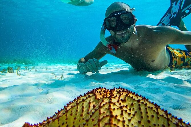 Colombia, Palancar & Cielo Cozumel Snorkel Tour - Sun Safety and Snorkel Gear: What to Bring and What to Skip