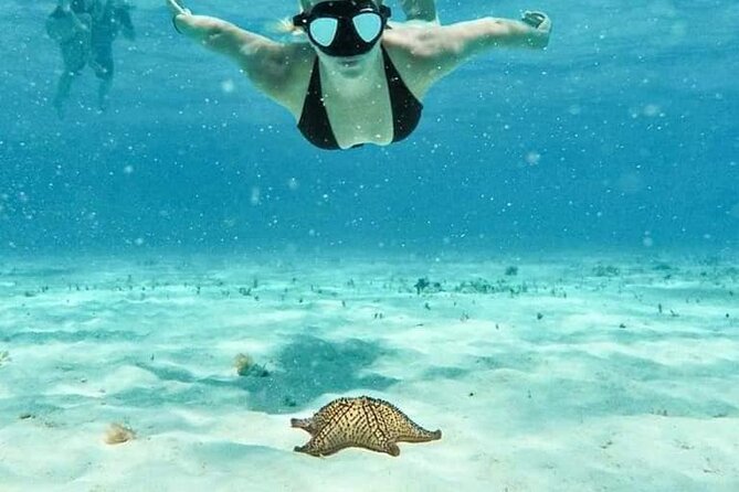 Cozumel 4 Hour Boat Sky Tour - Key Highlights You’ll Actually Care About