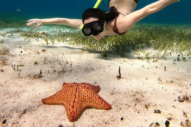 Cozumel 4 Hour Boat Sky Tour - Playa El Cielo: Starfish Spotting in Very Shallow Water