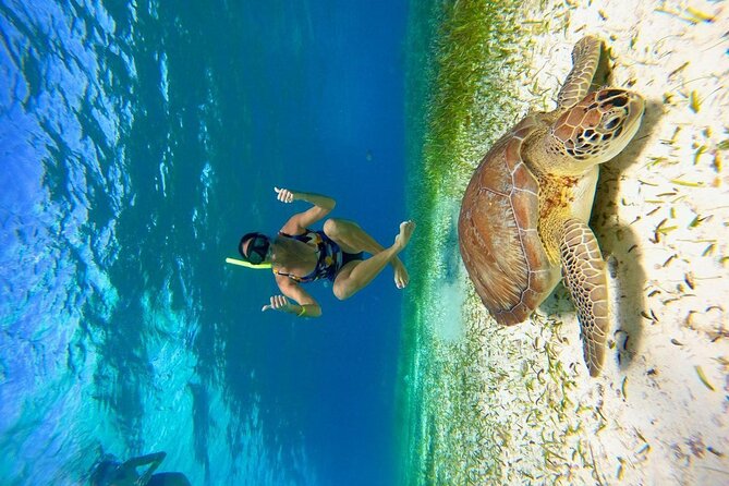 Cozumel 4 Hour Boat Sky Tour - Language, Translation, and the English-Speaking Minority Issue