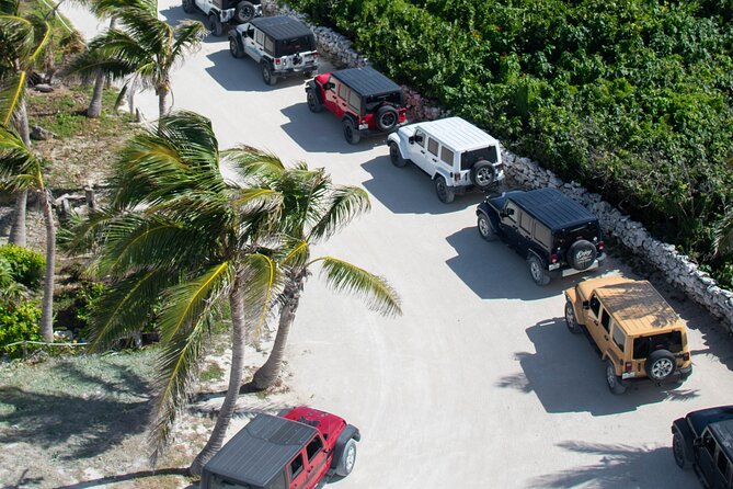 Cozumel 4x4 Adventure Punta Sur and Virgin Beach All Inclusive - Virgin Beach: private sunbeds, premium lunch, and tequila tasting