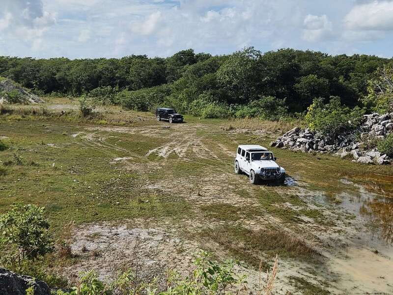 Cozumel: 5-Hour Private Caves and Ruins Tour with Lunch - Chen Rio beach and lagoon: sand, sea, and possible crocodile spotting